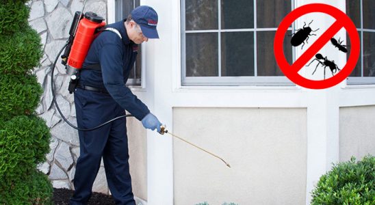 Muratpaşa Karınca İlaçlama böcek ilaçlama ve haşere kontrolü — ilaclama-tr.com